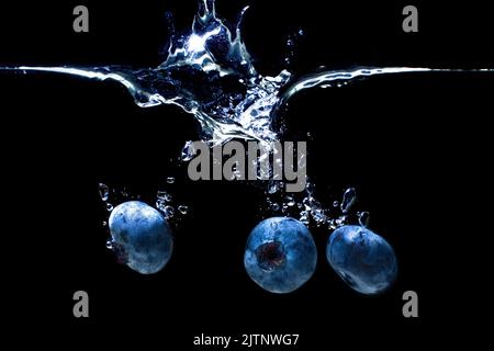 Frische reife Heidelbeeren fielen unter Wasser mit Luftblasen und Spritzern isoliert auf schwarzem Hintergrund. Stockfoto