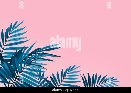 Schatten aus Palmenblättern an weißen Wänden und cremefarbenem Pastellfußboden. Abstrakter Hintergrund von Schatten Palmblatt für kreative Sommer minimal Mock-up. Neutral tropisch Stockfoto