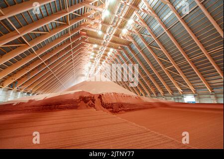 Gießen von roten Phosphatdüngern auf Stapel im Lagerhaus Stockfoto