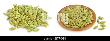 Getrocknete Fenchelsamen isoliert auf weißem Hintergrund mit voller Schärfentiefe Stockfoto
