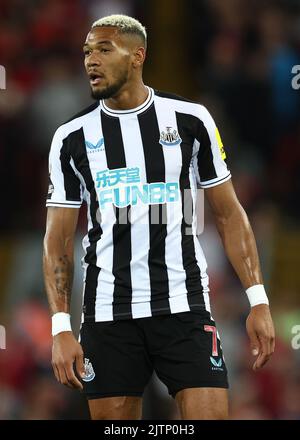 Liverpool, England, 31.. August 2022. Joelinton von Newcastle United während des Spiels der Premier League in Anfield, Liverpool. Bildnachweis sollte lauten: Darren Staples / Sportimage Stockfoto