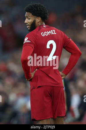 Liverpool, England, 31.. August 2022. Joe Gomez von Liverpool während des Spiels der Premier League in Anfield, Liverpool. Bildnachweis sollte lauten: Darren Staples / Sportimage Stockfoto