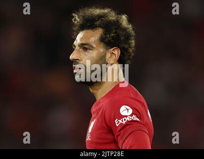 Liverpool, England, 31.. August 2022. Mohamed Salah von Liverpool während des Spiels der Premier League in Anfield, Liverpool. Bildnachweis sollte lauten: Darren Staples / Sportimage Stockfoto