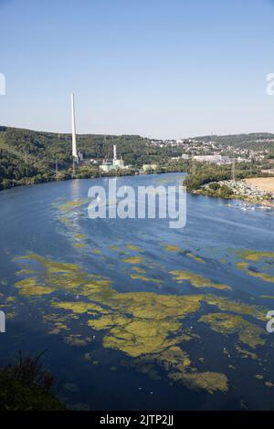 Blick über den Harkortsee auf die Stadt Herdecke und das Kombikraftwerk Cuno, Kombikraftwerk, Gasturbine, Nordrhein-Westfalen, Deutschland. E Stockfoto