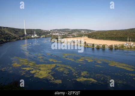 Blick über den Harkortsee auf die Stadt Herdecke und das Kombikraftwerk Cuno, Kombikraftwerk, Gasturbine, Nordrhein-Westfalen, Deutschland. E Stockfoto