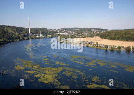 Blick über den Harkortsee auf die Stadt Herdecke und das Kombikraftwerk Cuno, Kombikraftwerk, Gasturbine, Nordrhein-Westfalen, Deutschland. E Stockfoto