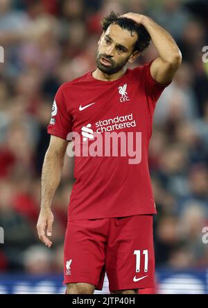 Liverpool, England, 31.. August 2022. Mohamed Salah von Liverpool während des Spiels der Premier League in Anfield, Liverpool. Bildnachweis sollte lauten: Darren Staples / Sportimage Stockfoto