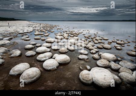 Alte und seltene Lebensform von Thrombolithen am Lake Clifton im Yalgorup National Park. Stockfoto