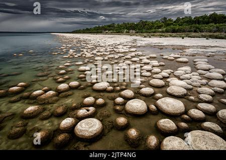 Alte und seltene Lebensform von Thrombolithen am Lake Clifton im Yalgorup National Park. Stockfoto