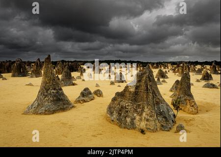 Herausragende Felsformationen der Pinnacles im Nambung National Park. Stockfoto