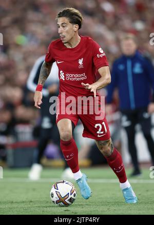 Liverpool, England, 31.. August 2022. Kostas Tsimikas aus Liverpool während des Spiels der Premier League in Anfield, Liverpool. Bildnachweis sollte lauten: Darren Staples / Sportimage Stockfoto