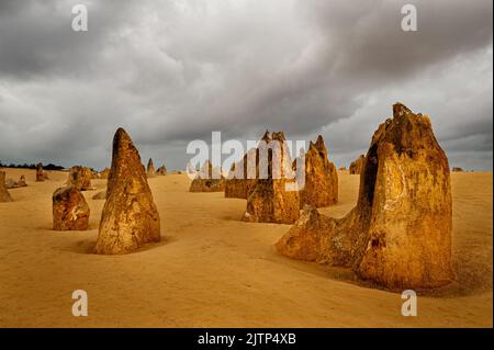 Bizarre Felsformationen der Pinnacles im Nambung National Park. Stockfoto