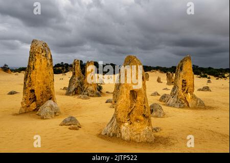 Bizarre Felsformationen der Pinnacles im Nambung National Park. Stockfoto