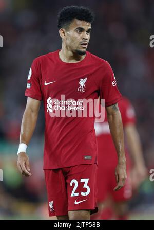 Liverpool, England, 31.. August 2022. Luis Diaz von Liverpool während des Spiels der Premier League in Anfield, Liverpool. Bildnachweis sollte lauten: Darren Staples / Sportimage Stockfoto