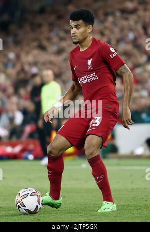 Liverpool, England, 31.. August 2022. Luis Diaz von Liverpool während des Spiels der Premier League in Anfield, Liverpool. Bildnachweis sollte lauten: Darren Staples / Sportimage Stockfoto