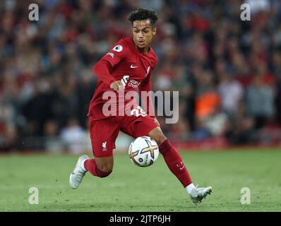 Liverpool, England, 31.. August 2022. Fabio Carvalho aus Liverpool während des Spiels der Premier League in Anfield, Liverpool. Bildnachweis sollte lauten: Darren Staples / Sportimage Stockfoto