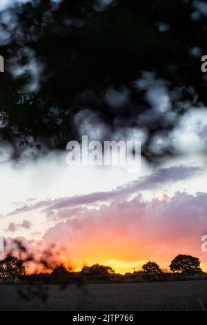 Wakefield, West Yorkshire, Großbritannien. 31.. August 2022. Wetter in Großbritannien. Die Sonnenuntergänge in der Nähe von Woolley Edge werden auf der M1 in der Nähe von Wakefield, West Yorkshire, Großbritannien, angeboten. Kredit: Windmill Images/Alamy Live Nachrichten Stockfoto