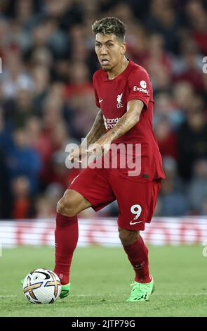 Liverpool, England, 31.. August 2022. Roberto Firmino von Liverpool während des Spiels der Premier League in Anfield, Liverpool. Bildnachweis sollte lauten: Darren Staples / Sportimage Stockfoto