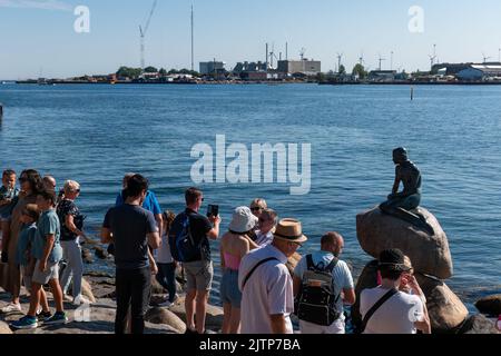 Kopenhagen, Dänemark. 13. August 2022. Eine Gruppe von Touristen neben der Statue der kleinen Meerjungfrau (Den Lille Havfrue) am frühen Sommermorgen Stockfoto