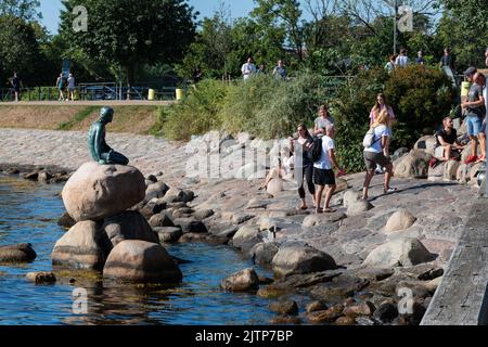 Kopenhagen, Dänemark. 13. August 2022. Die kleine Statue der Meerjungfrau (Den Lille Havfrue) mit einer Gruppe von Touristen am frühen Sommermorgen Stockfoto