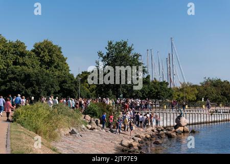 Kopenhagen, Dänemark. 13. August 2022. Eine Gruppe von Touristen neben der Statue der kleinen Meerjungfrau (Den Lille Havfrue) am frühen Sommermorgen Stockfoto