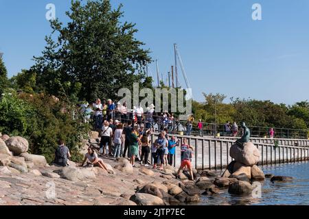 Kopenhagen, Dänemark. 13. August 2022. Eine Gruppe von Touristen neben der Statue der kleinen Meerjungfrau (Den Lille Havfrue) am frühen Sommermorgen Stockfoto