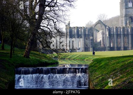 Menschen, die am Weir auf dem Fluss Skell auf dem Gelände der Fountains Abbey Zisterzienserkloster, North Yorkshire, England, Großbritannien, vorbeigehen. Stockfoto