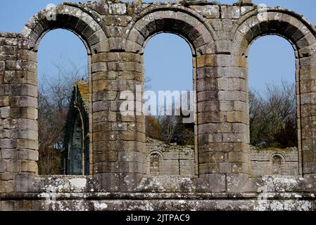 Die Überreste von drei alten Steinbogenfenstern in den Ruinen der Fountains Abbey Zisterzienserkloster, North Yorkshire, England, Großbritannien. Stockfoto