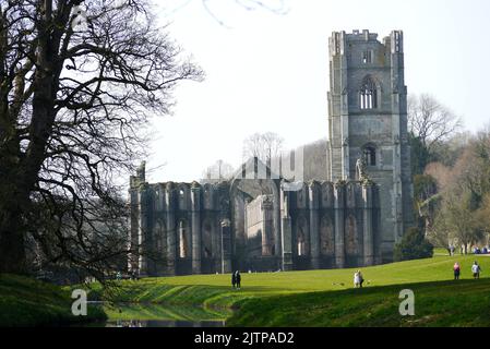 Menschen, die am Fluss Skell auf dem Gelände des Fountains Abbey Zisterzienserklosters, North Yorkshire, England, Großbritannien, spazieren gehen. Stockfoto
