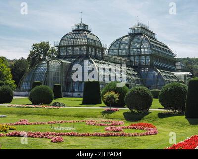 Grünes Haus Palmenhaus Schönbrunn im Schlosspark Schönbrunn. Stockfoto