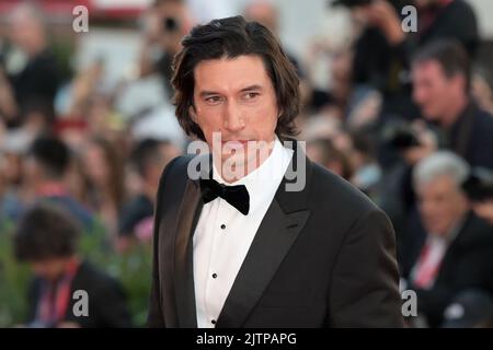 Venedig, Italien. 31. August 2022. Adam Driver nimmt am „White Noise“ und der Eröffnungszeremonie des Roten Teppichs während des Internationalen Filmfestivals von Venedig 79. in Venedig Teil. Quelle: Stefanie Rex/dpa/Alamy Live News Stockfoto