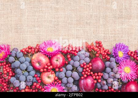 Reife rote Früchte, Beeren und lila Blüten auf dem Tisch mit Sacktuch. Stillleben, Rahmenrand, Mockup, flaches Lay, Draufsicht. Festlicher Herbst Backgr Stockfoto