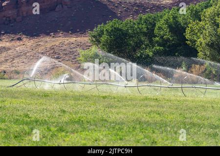 Sideroll oder Radleine Bewässerung in einem Heufeld auf einer Ranch in der Nähe von Moab, Utah. Stockfoto