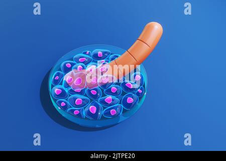 Wurst wird in Petrischale angebaut. Illustration des Konzepts des Anbaus von Würsten aus Tierzellen in einem schottischen Labor Stockfoto