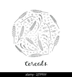 Handgezeichnete Umrisse von Getreide und Körnern in Kreisform mit Schriftzug. Gerste, Weizen, Reis, Hafer, Roggen, Hirse Stock Vektor