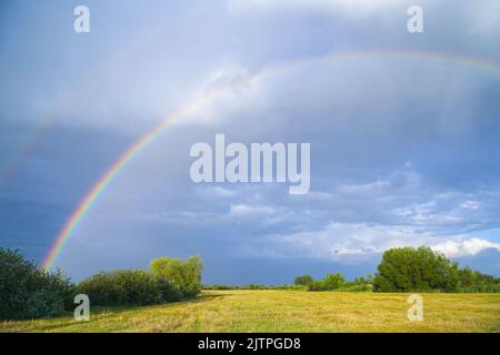Regenbogen auf dem Hintergrund von Sturmwolken über einer gemähten Wiese Stockfoto