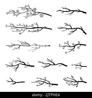 Sammlung von Ästen und blühenden Sakura-Zweigen. Schwarze Silhouetten isoliert auf weißem Hintergrund. Stock Vektor