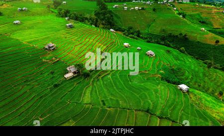 Luftaufnahme der Rice Terrasse bei Ban pa Bong piang in Chiang Mai, Thailand. Stockfoto