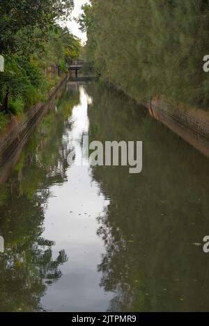 Der Hawthorne Canal, der 1891 nach der Agitation im NSW-Parlament im Jahr 1890 durch John Hawthorn erbaut wurde, mündet über Parramatta R. in den Hafen von Sydney Stockfoto