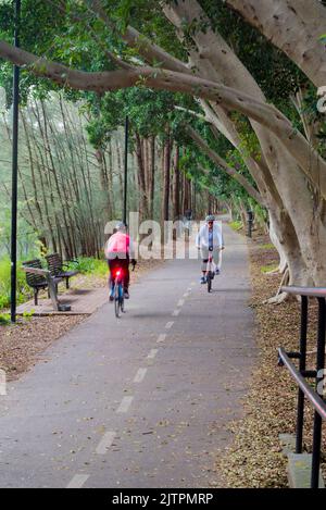 Menschen, die auf dem gemeinsam genutzten Fahrrad (Fahrrad) und dem Fußgängerweg entlang des 1891 erbauten Hawthorne Canal in Sydney, Australien, fahren Stockfoto