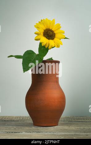 Eine Sonnenblumenblume steht in einem Tonkrug aus Terrakotta auf einem weißen Tisch aus Brettern Stockfoto