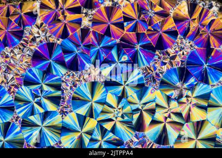 Salicene chemische kristalline Gleitschmelze, kreuzpolarisierte Photomikrograph Stockfoto