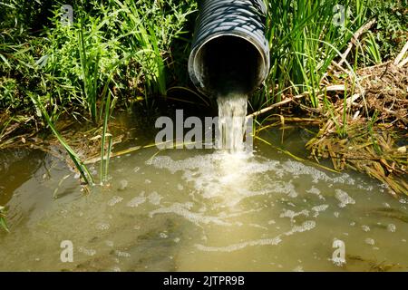 Die Abwasserleitung führt Abwasser und Abwasser in den Fluss. Umweltverschmutzung Stockfoto