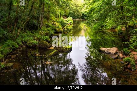 Blick auf den Fluss Teign, von einer Fußgängerbrücke unterhalb des Hunter's Tor in der Nähe von Castle Drogo aus gesehen. Stockfoto