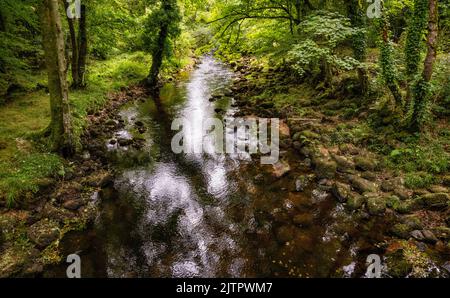 Blick auf den Fluss Teign, von einer Fußgängerbrücke unterhalb des Hunter's Tor in der Nähe von Castle Drogo aus gesehen. Stockfoto