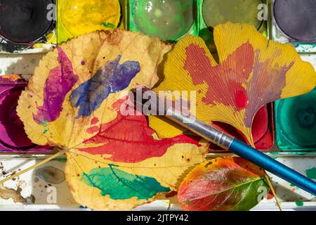 Malen Sie Blätter bunt im Herbst Stockfoto
