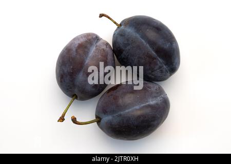 Drei reife Pflaumen isoliert auf weißem Hintergrund, frische Früchte aus der Nähe Stockfoto