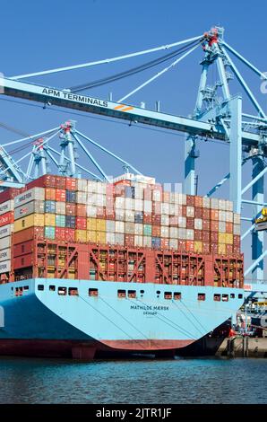 Rotterdam, Niederlande, 23. August 2022: Blauer Containerträger und großer blauer Kran vor blauem Himmel Stockfoto