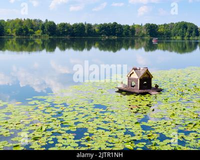 Hölzerne schwimmende Entenhaus im Waldsee von Seerosen in der Nähe von Raifa Bogoroditsky Kloster, Russland am sonnigen Sommertag überwuchert Stockfoto