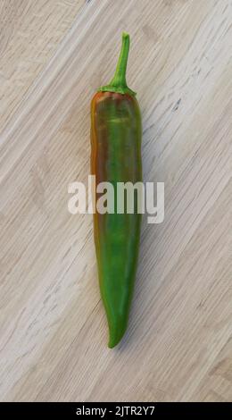 Ein langer, gerader, teilreifer Hatch Chilli-Pfeffer Stockfoto